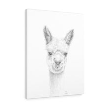 EDIS Llama - Art Canvas