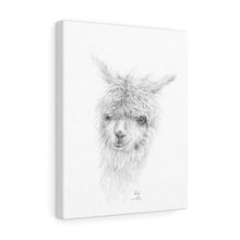 LILY Llama - Art Canvas