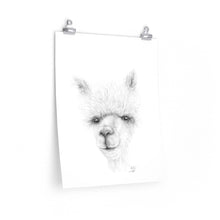 KADY Llama- Art Paper Print