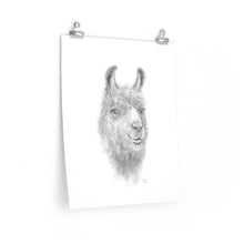 KAYLEE Llama- Art Paper Print