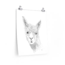 HAYDEN Llama- Art Paper Print