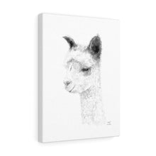 ANGELA Llama - Art Canvas
