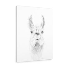 ZAILAH Llama - Art Canvas