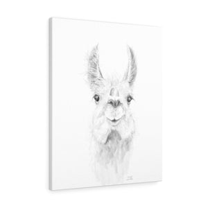 ZAILAH Llama - Art Canvas