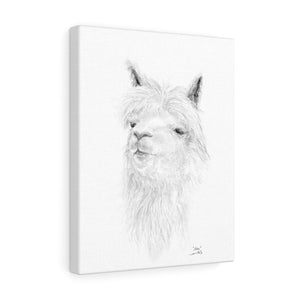 ASHA llama- Art Canvas