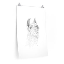 RODNEY Llama- Art Paper Print