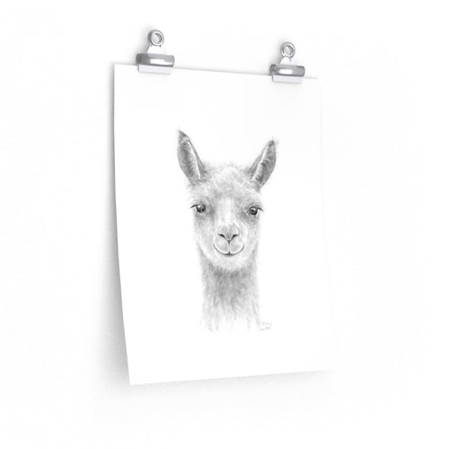 WHITNEY Llama- Art Paper Print