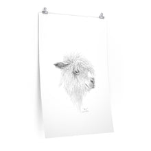 DANI Llama- Art Paper Print