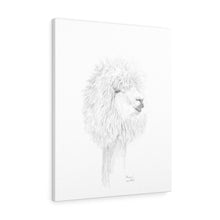 MIRIAM Llama- Art Canvas