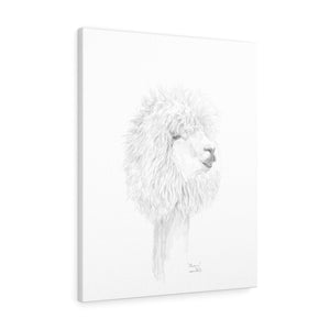 MIRIAM Llama- Art Canvas