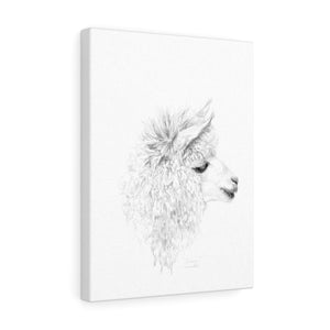 ARIANA Llama - Art Canvas