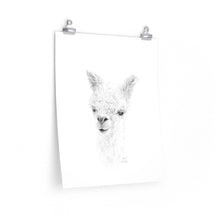 ZOE Llama- Art Paper Print