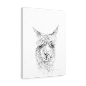 GAELLE Llama - Art Canvas