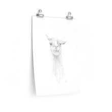 SCOTT Llama- Art Paper Print