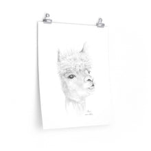 MARC Llama- Art Paper Print