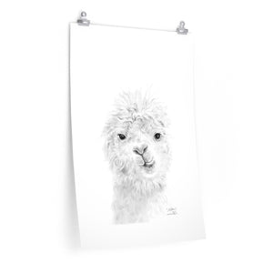 MILTON Llama- Art Paper Print
