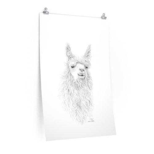 TORI Llama- Art Paper Print