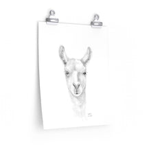 CAITLIN Llama- Art Paper Print