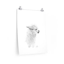 SANDY Llama- Art Paper Print