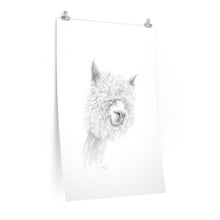 WALTER Llama- Art Paper Print