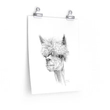 ANDREW Llama- Art Paper Print