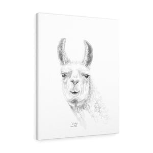 LINDSEY Llama - Art Canvas