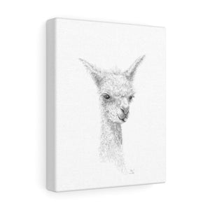ALICE Llama - Art Canvas