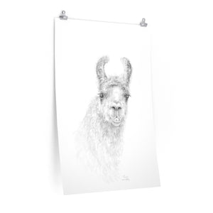 TONIA Llama- Art Paper Print