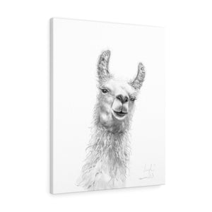 LEIGH Llama - Art Canvas