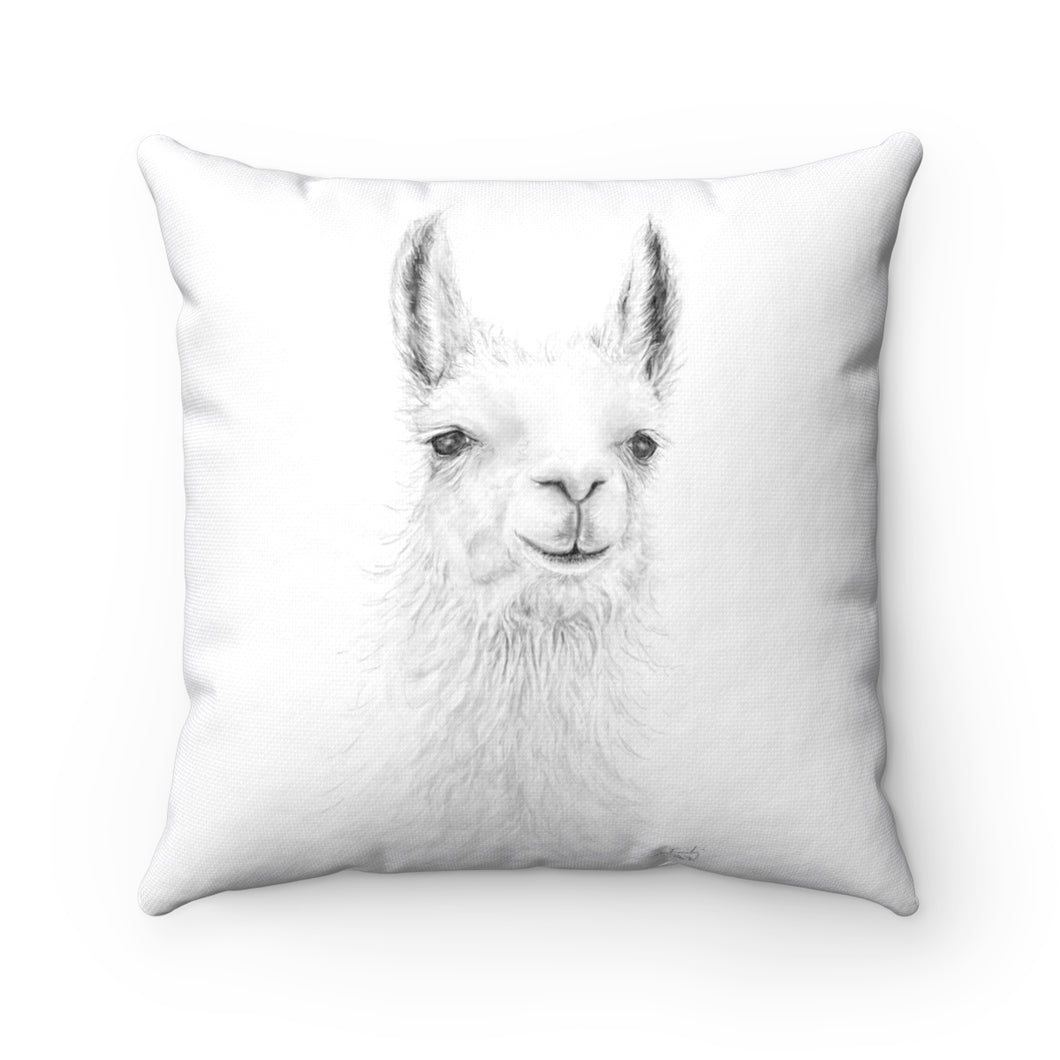 Llama Pillow - EMILY