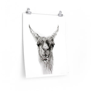 NEMORIO Llama- Art Paper Print