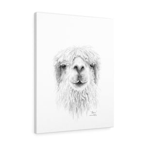 BLAIN Llama - Art Canvas