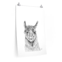 TRUDY Llama- Art Paper Print