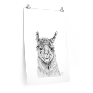 TRUDY Llama- Art Paper Print