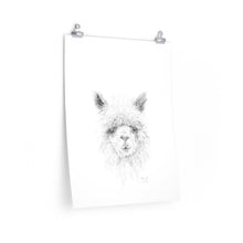SHERYL Llama- Art Paper Print