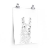 BAILEY Llama- Art Paper Print