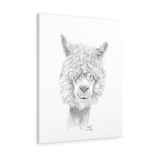 MATT Llama - Art Canvas