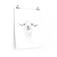 BRIAN Llama- Art Paper Print