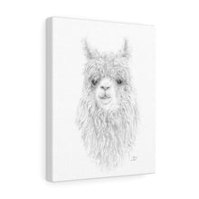 MARY Llama - Art Canvas