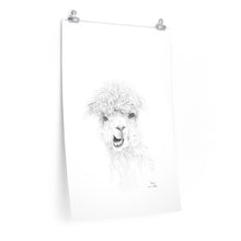 CLAIRE Llama- Art Paper Print