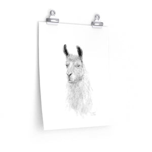 GRAYSON Llama- Art Paper Print