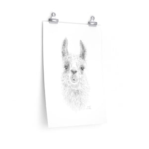 SARAH Llama- Art Paper Print