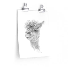 COCO Llama- Art Paper Print