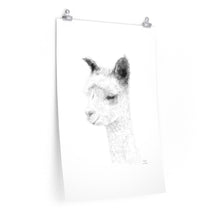ANGELA Llama- Art Paper Print