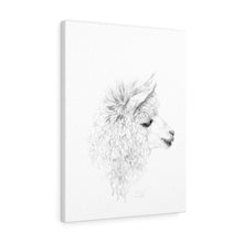 ARIANA Llama - Art Canvas