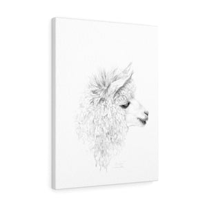 ARIANA Llama - Art Canvas