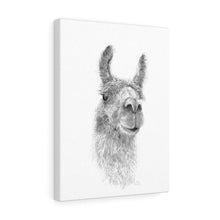 ADREA Llama - Art Canvas