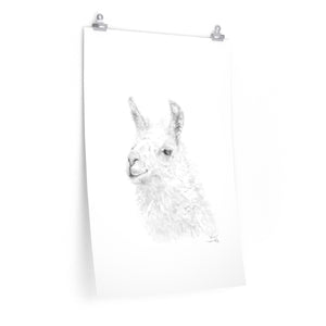 KEVIN Llama- Art Paper Print