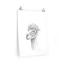 WILL Llama- Art Paper Print