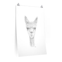 STEPHEN Llama- Art Paper Print